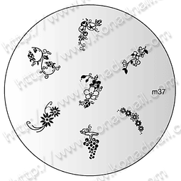 M37-disco diseño konad