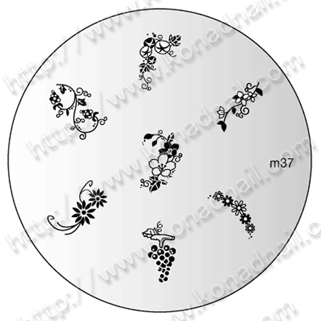 M37-disco diseño konad