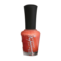 Esmalte Profesional P356