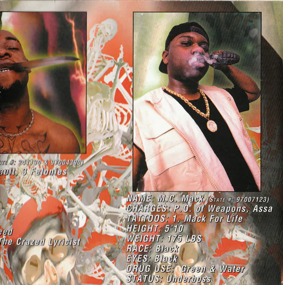 The Kaze – Kamakazie Timez Up CD 4