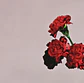 John Legend – Love In The Future | CD | Edición USA 2013 - Miniatura 1
