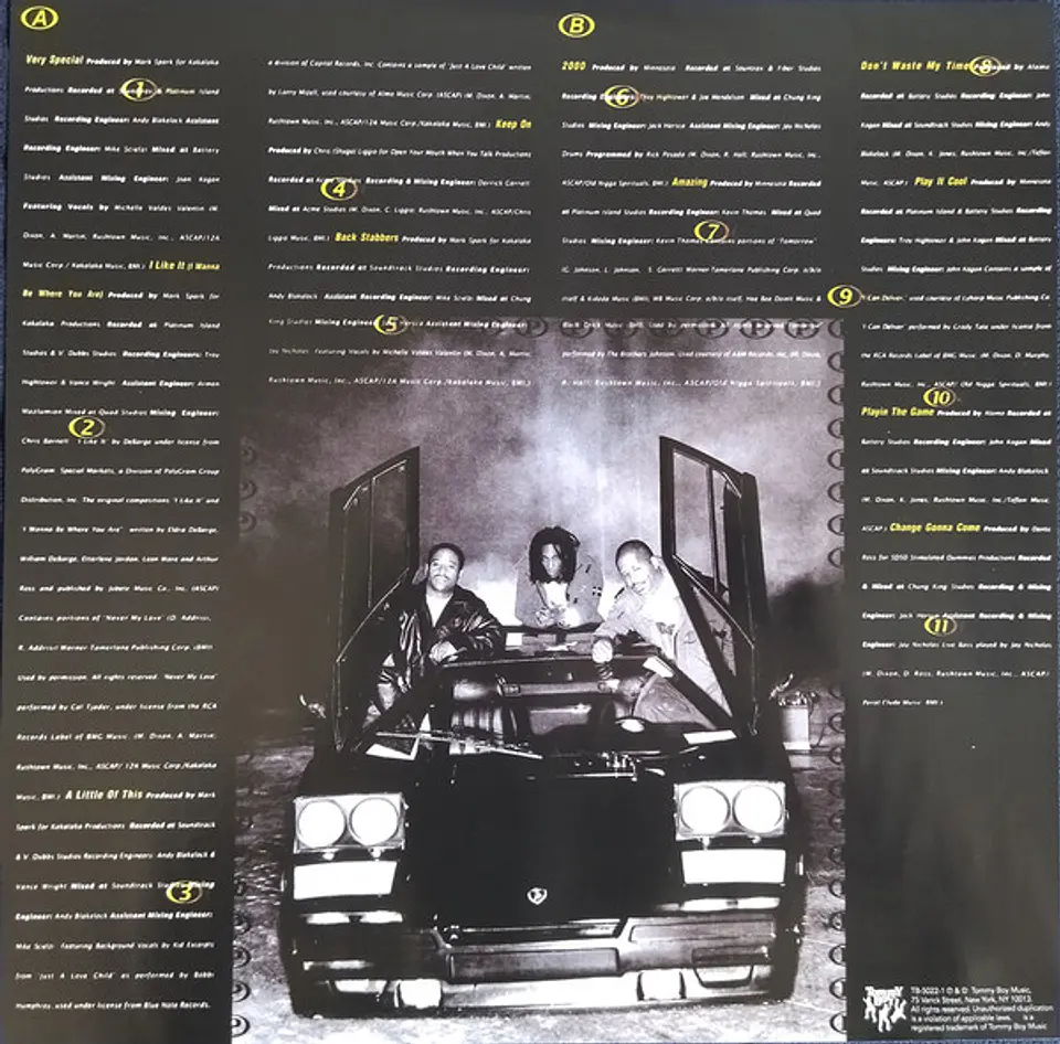 Grand Puba | 2000 | Vinilo LP | edic limitada 2022 3