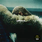 Beyoncé | Lemonade | Vinilo doble LP amarillo 180 g | 2017 - Miniatura 1