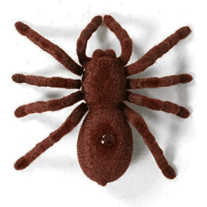 Robot Spider Control Remoto A Pilas Cutesunlight 787 5