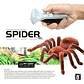 Robot Spider Control Remoto A Pilas Cutesunlight 787 - Miniatura 7