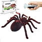 Robot Spider Control Remoto A Pilas Cutesunlight 787 - Miniatura 2