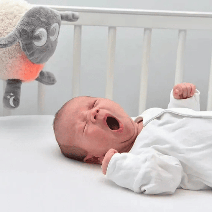 Ewan Deluxe - La Oveja de los sueños premio Gold 2020 2