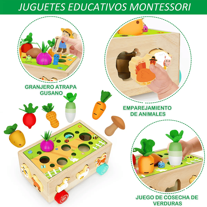 Juguetes Educativos De Madera Montessori Para Niños Y Niñas  4