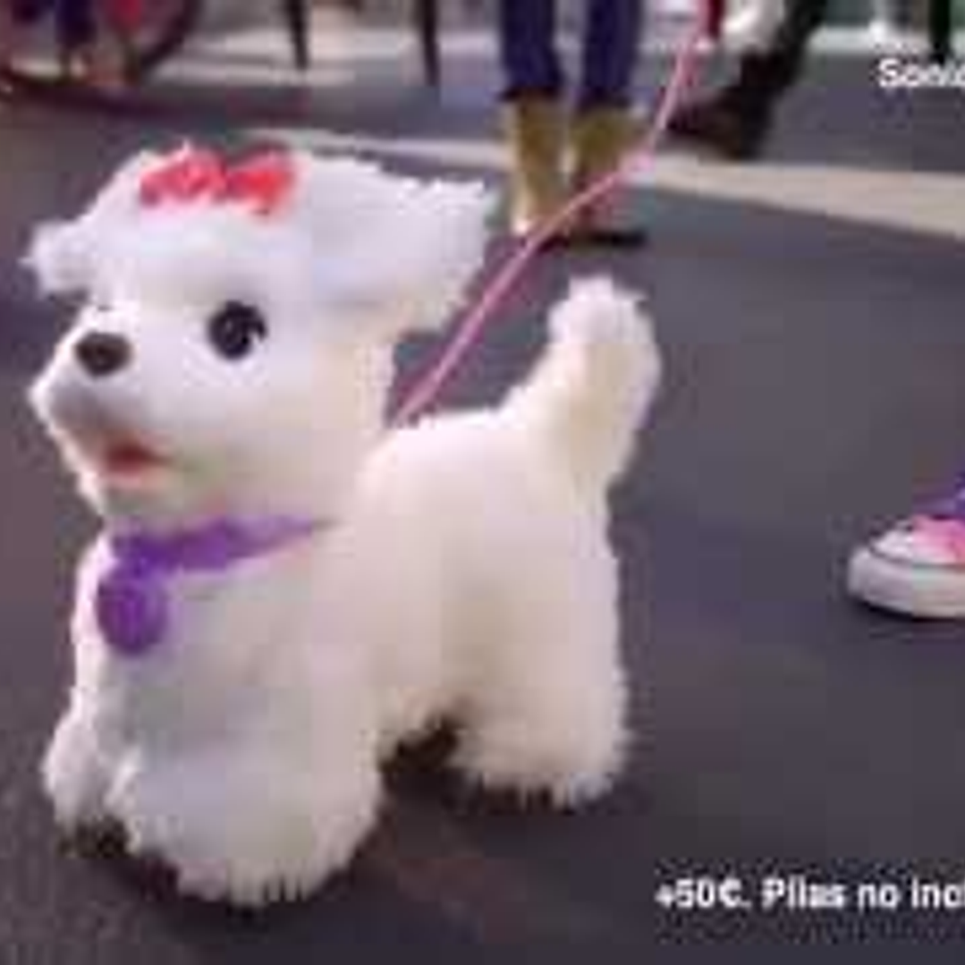  FurReal Friends ¡Levántate, vete, mi mascota cachorrita caminante! (Caja deteriorada) 2