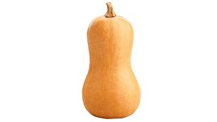 Zapallo Butternut (un)