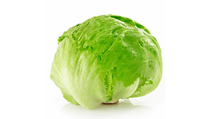 Lechuga Escarola (un)