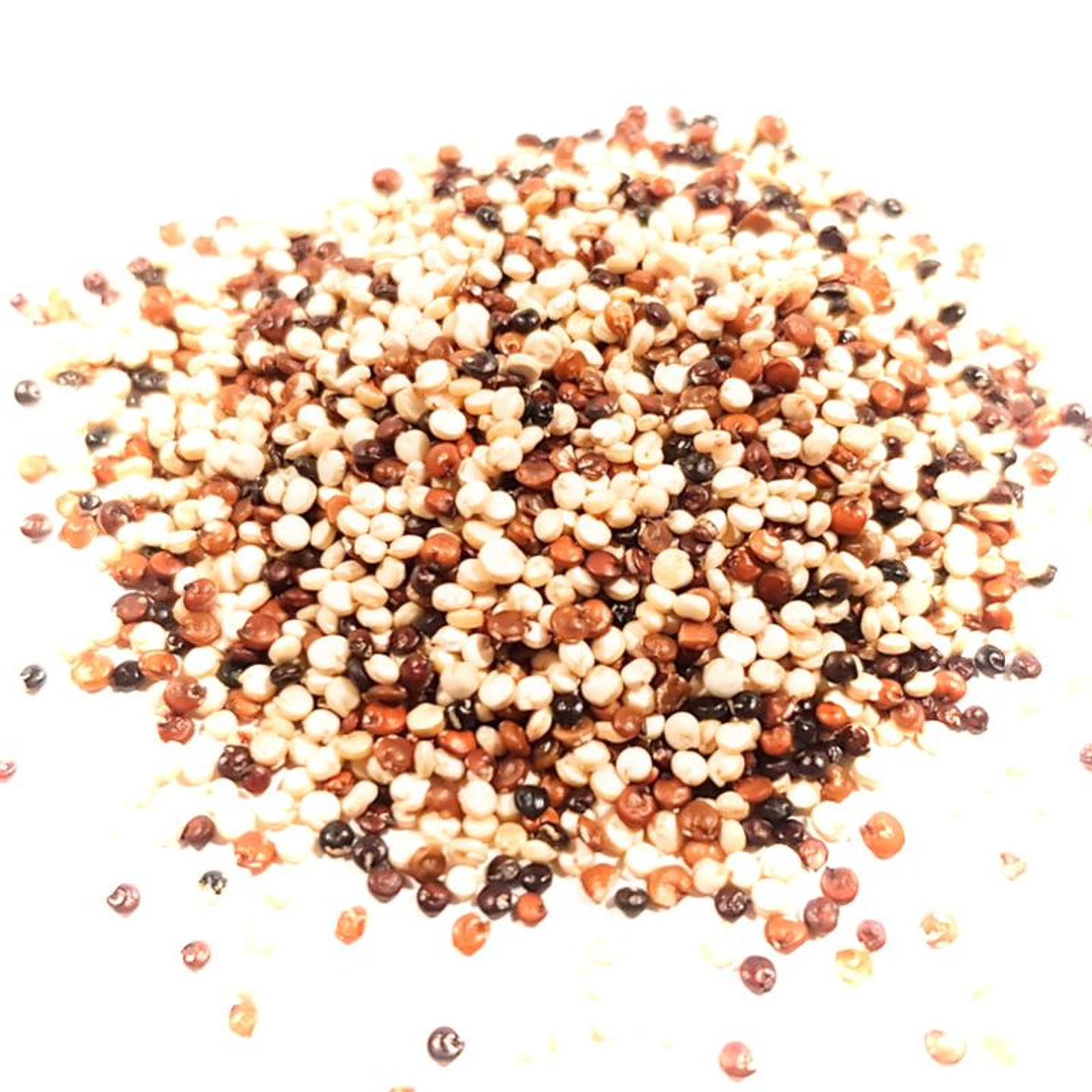 Quinoa Mix (1/2 kg)