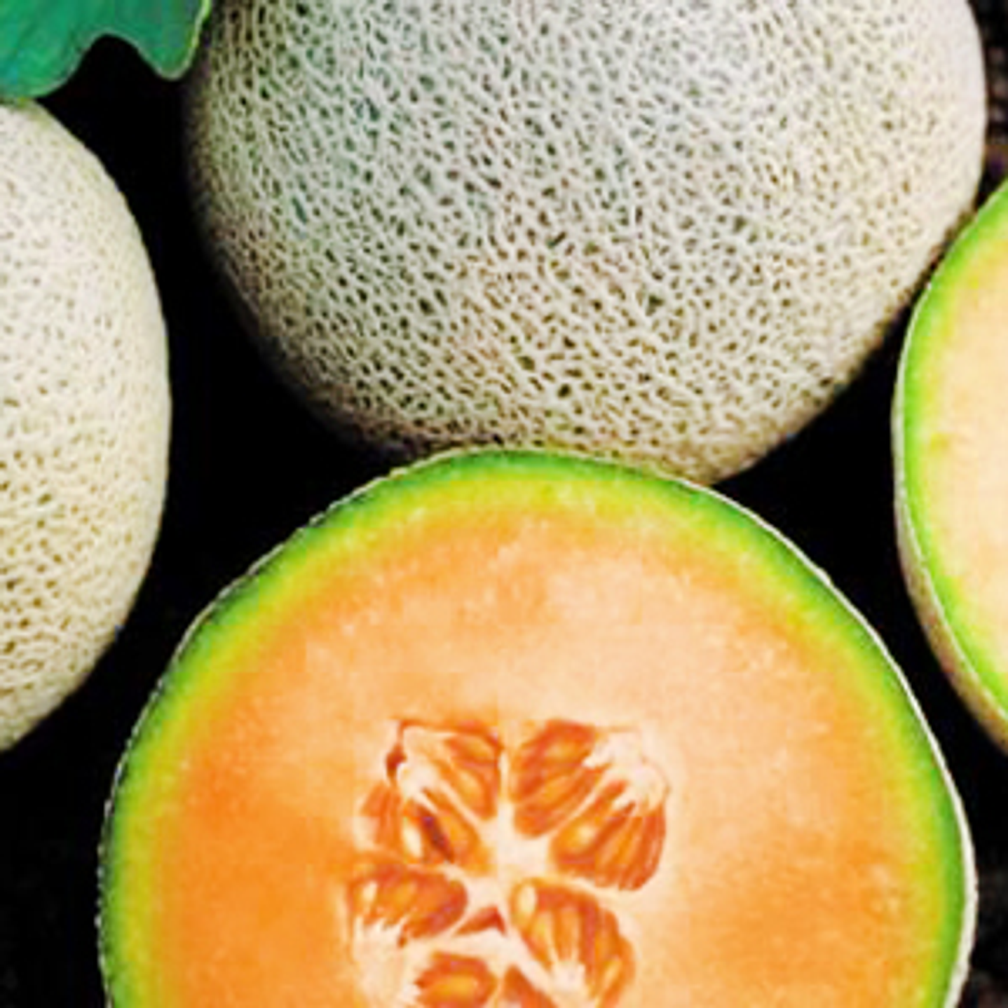 Melón Calameño (un)