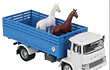 CAMION EBRO PARA CABALLOS  1/43 IXO