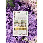 Cristales Con Adhesivo Degrade - TEB 2