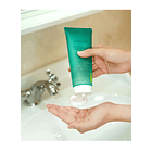 Limpiador Tea Tree CICA Ph Trouble Balanced - Thelavicos 2