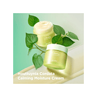 GOODAL Houttuynia Cordata (Set 3 productos) 2