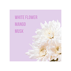 Wild Feelings Body Mist - Beauty Creations  2