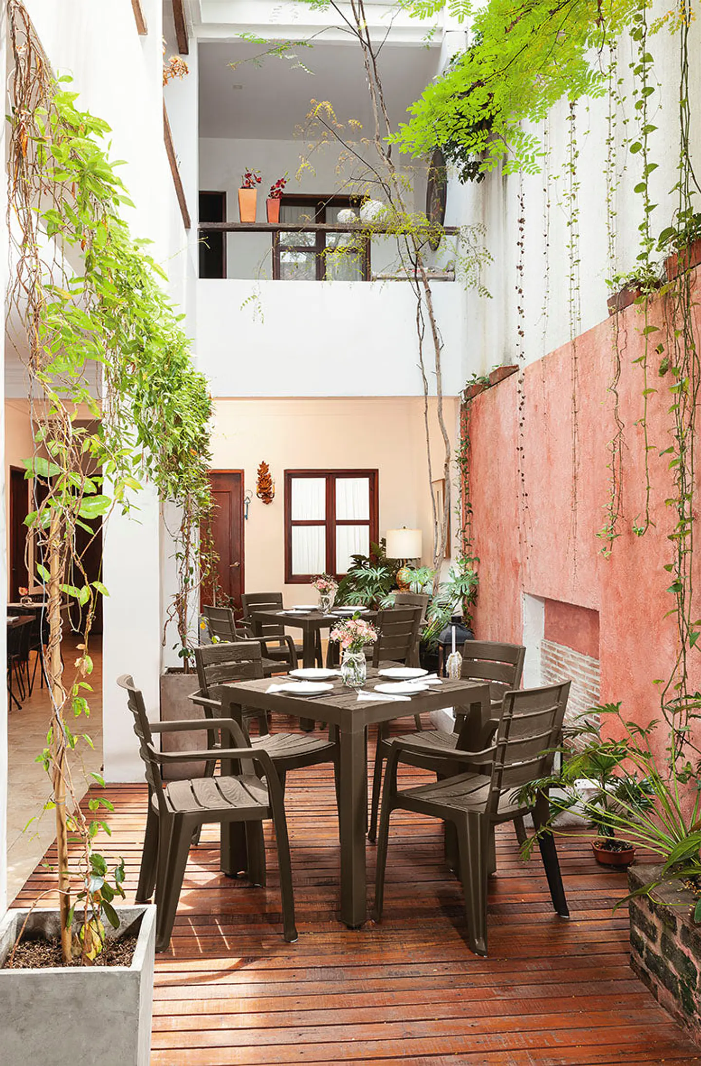 Combo Barú: Mesa + 4 Sillas con Brazos Mocca / Rimax 2