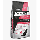 Balanced Perro Exclusive Recipe Cerdo y Arroz 15KG 2