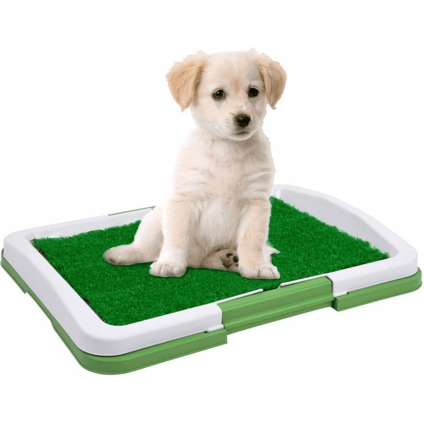 Baño ecológico para perros puppy potty pad