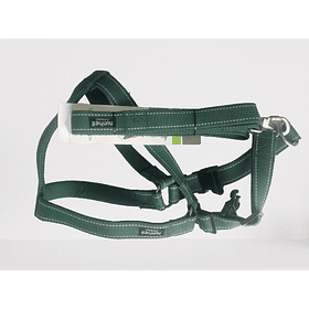 Arnes + correa 17772 Talla M