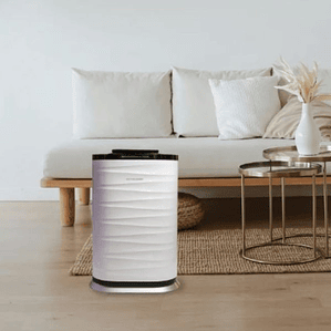 Recambio de Filtro Britecpure K09A