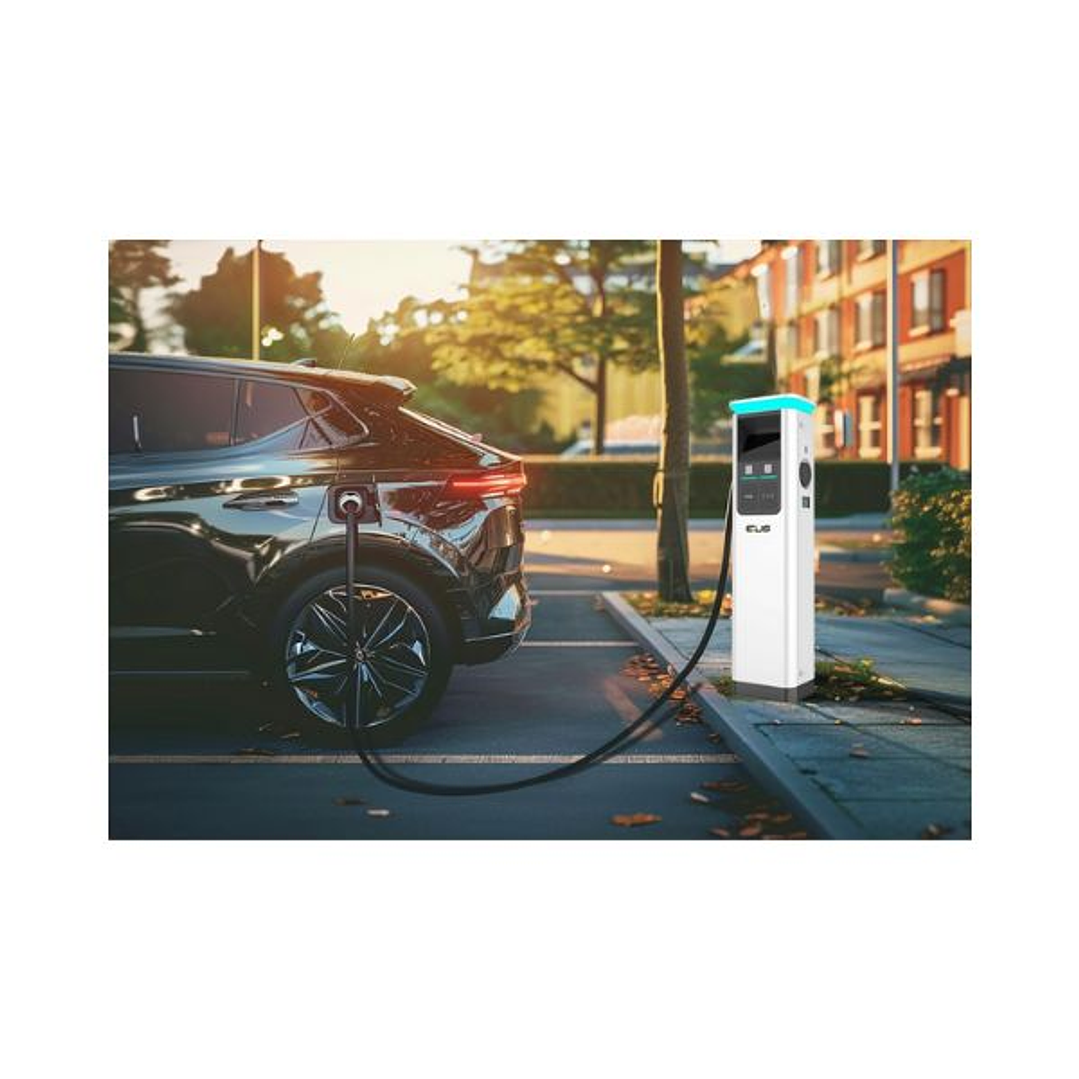 Cargador de Suelo Twin 440S 1