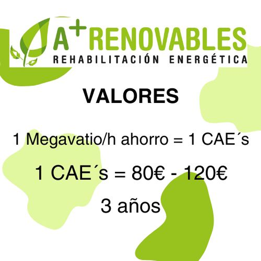 Certificados de Ahorro Energético (CAE) 6
