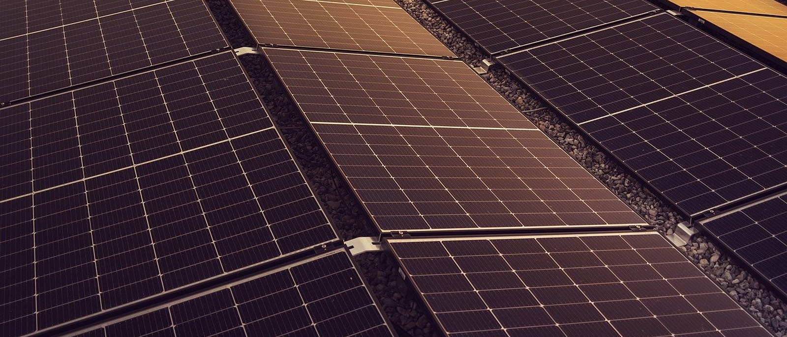 Energía solar fotovoltaica: ¿es rentable en 2025?