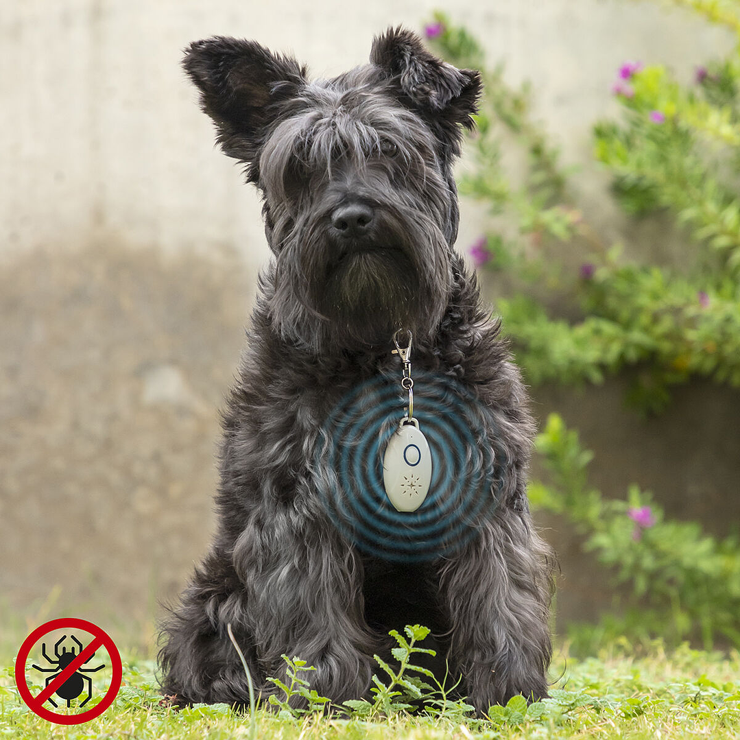 Antiparásitos Ultrasónico Recargable para Mascotas PetRep InnovaGoods | Protección sin Químicos para Perros y Gatos 1