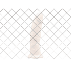 Consolador Realista Silexd de Silicona – Dildo Erótico con Envío Discreto y Textura Natural