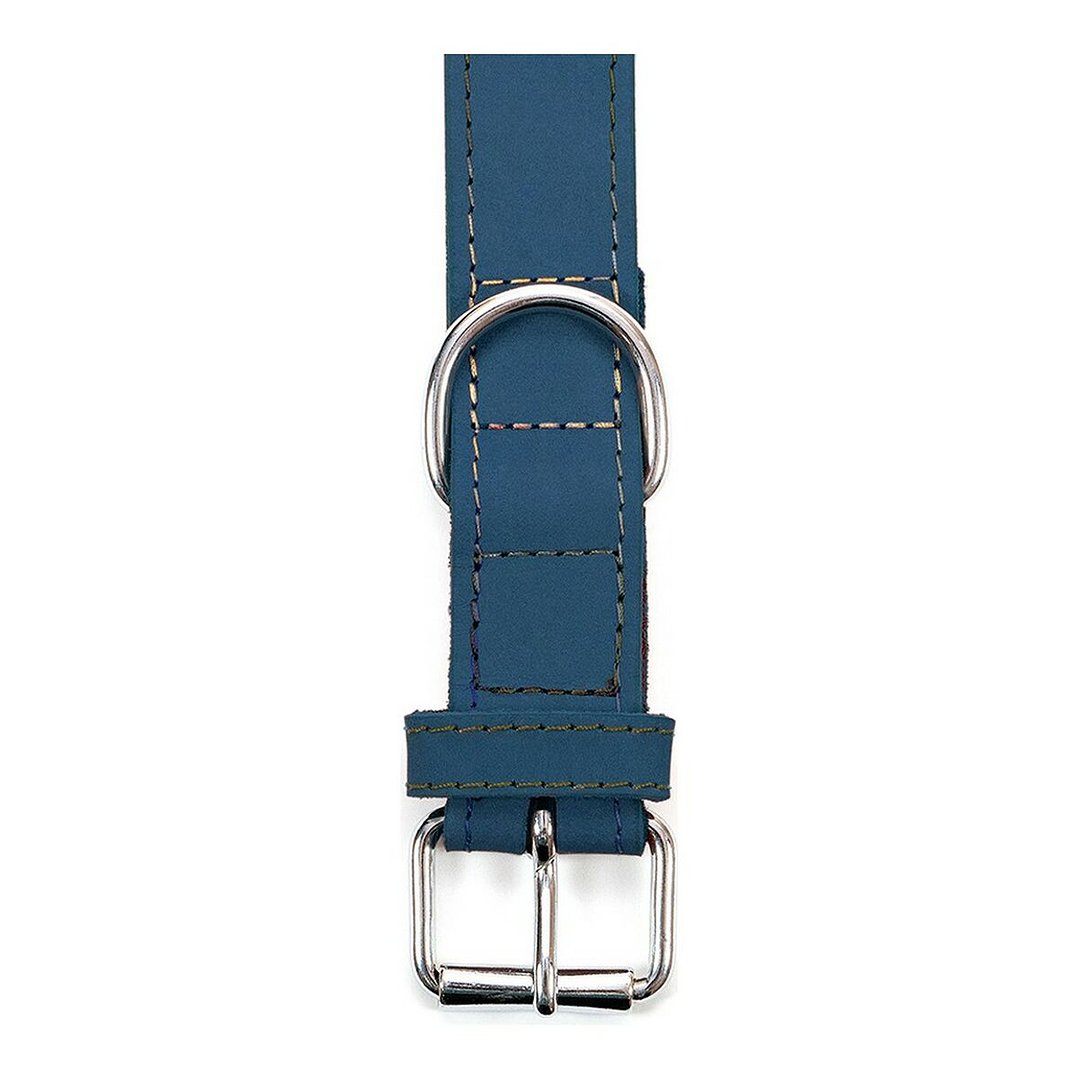 Collar para Perro Gloria Oasis Azul 45 x 1,8 cm – Resistente, Ajustable y Cómodo con Cierre de Hebilla 3