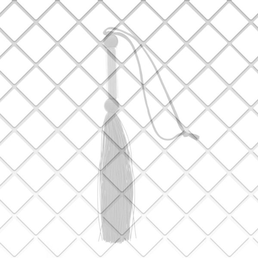 Guilty Pleasure Azotador Silicona Negro Ø4 cm 2