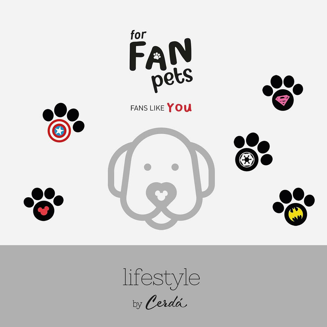 Collar para Perro Real Madrid Azul Talla M Ajustable 4