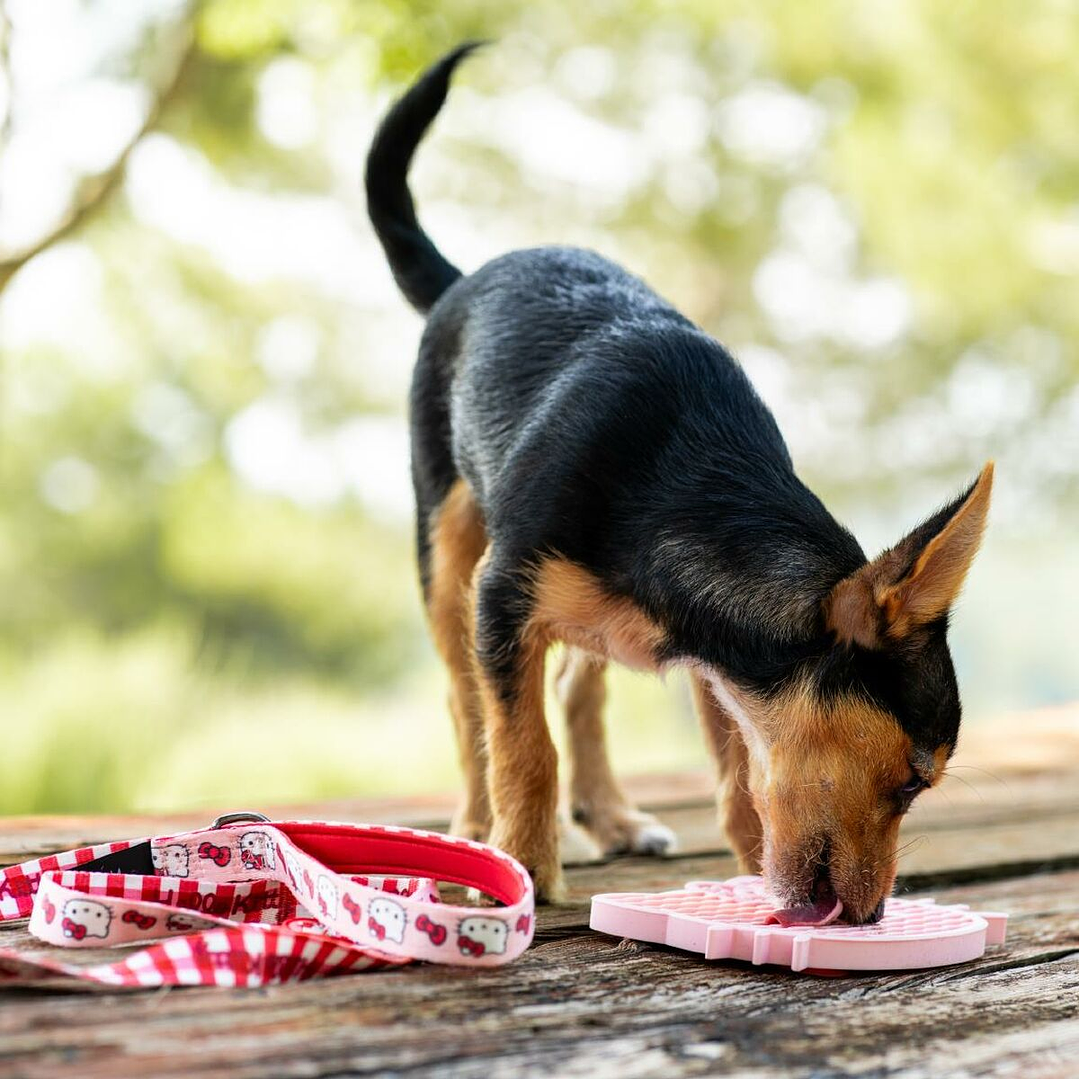 Comedero para Perro Hello Kitty Rosa Silicona Antideslizante 4