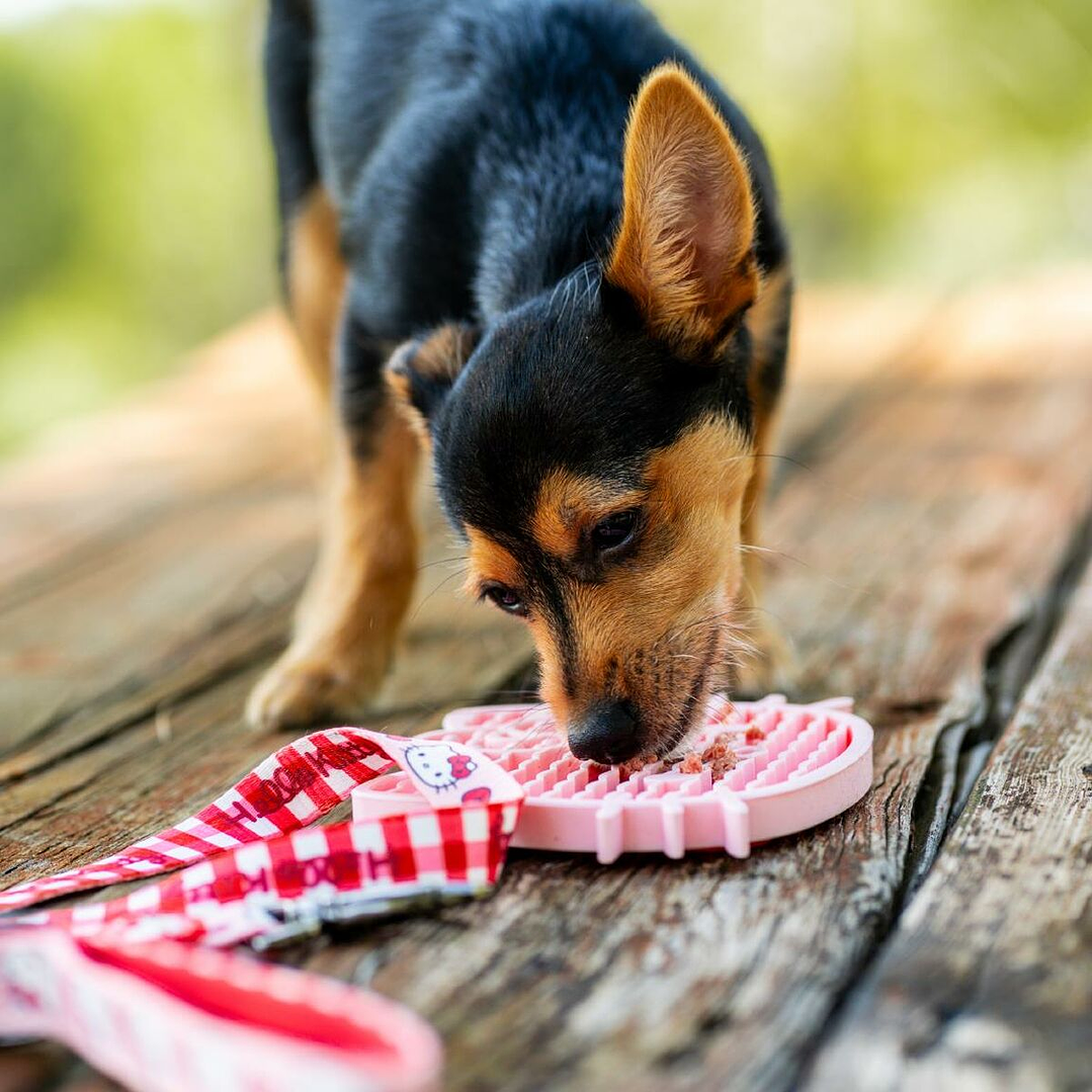 Comedero para Perro Hello Kitty Rosa Silicona Antideslizante 5