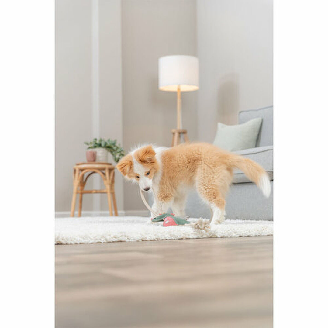 Peluche para Perros Trixie – Suave, Seguro y Divertido 3