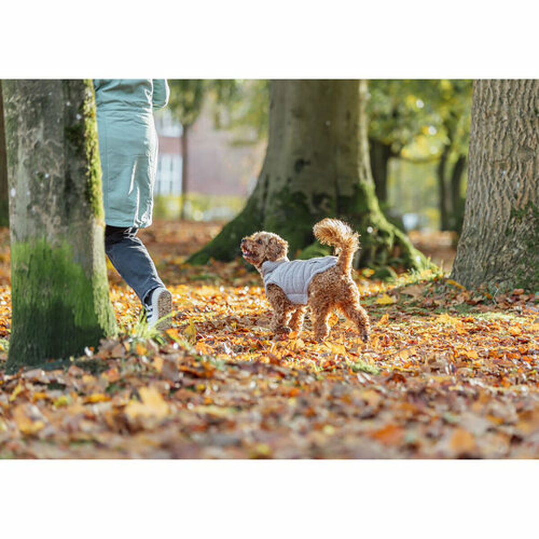 Abrigo para Perro Trixie Gris S – Ligero y Ajustable 4