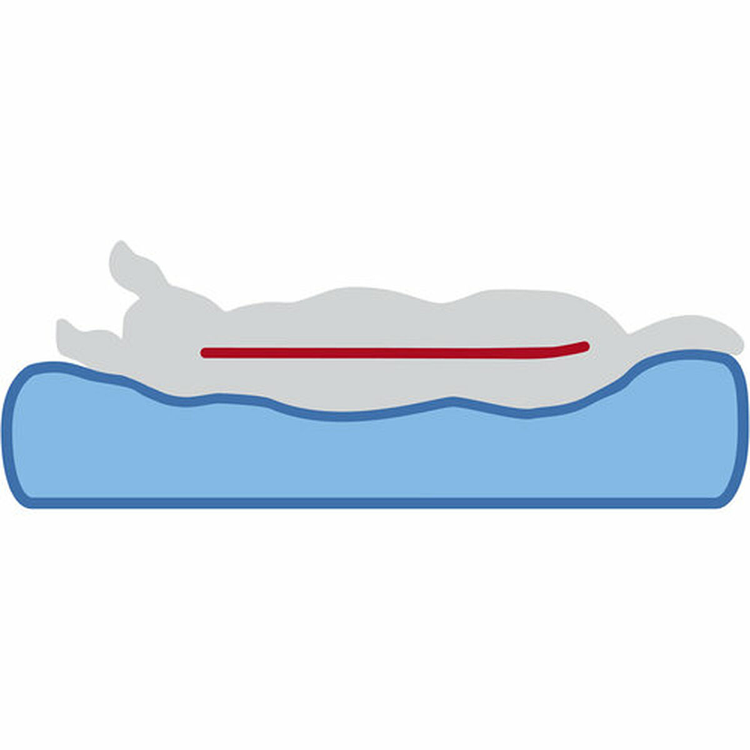 Colchón Trixie Vital Noah Gris Claro 50x35 cm 2