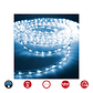 Manguera LED Azul EDM 72708 FlexiLED IP44 48m - Miniatura 3