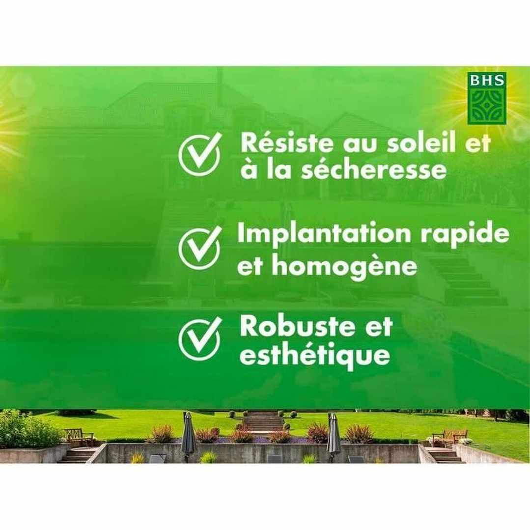 Semillas Césped BHS Rústico Sur 1 kg 5