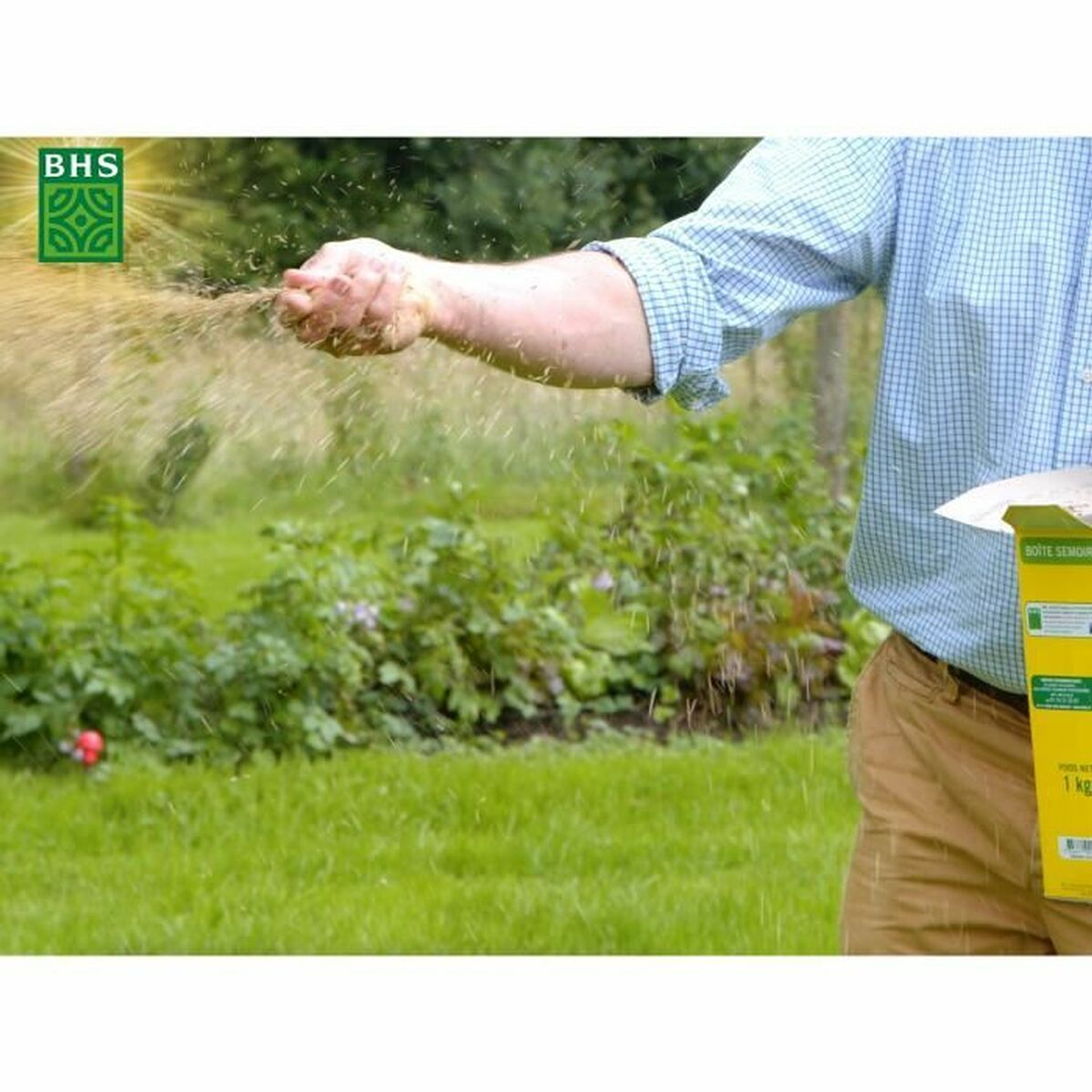 Semillas Césped BHS Seaside 1 kg Resistentes 5