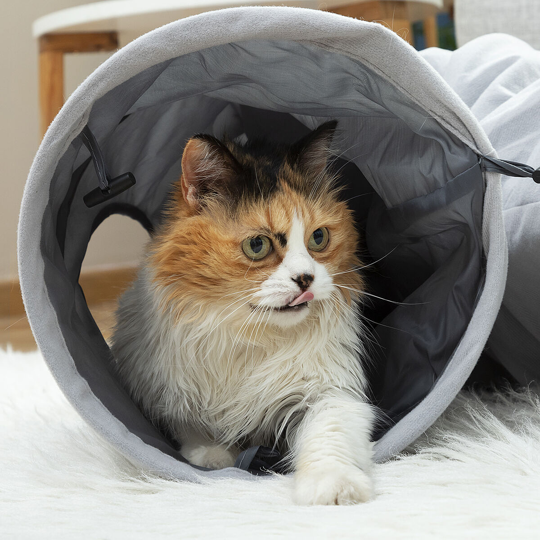 Túnel Plegable para Gatos Funnyl InnovaGoods 114 cm 5