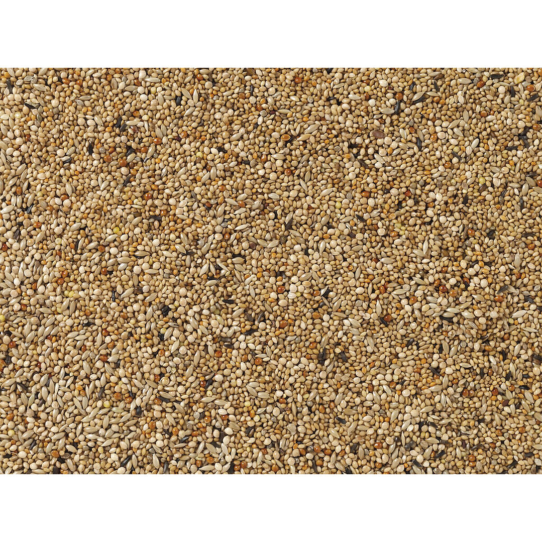 Comida para Pájaros Deli Nature Premium 1 kg 2