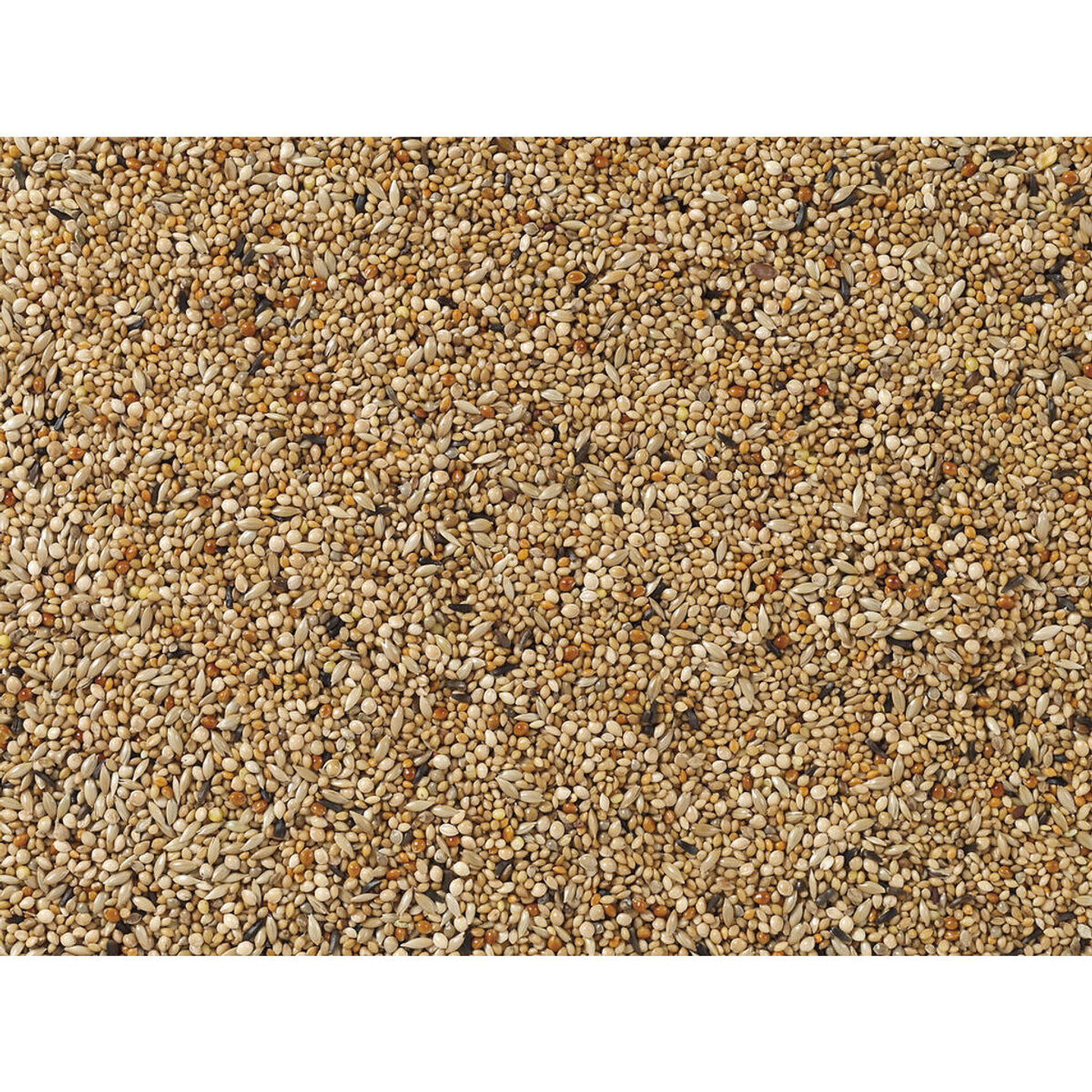 Comida para Pájaros Deli Nature Premium 1 kg 2