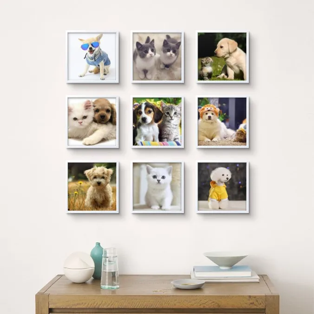 Marco de Fotos ARTMOUNT Bestile | Cuadro Adhesivo Reposicionable Sin Clavos 20x20cm 6