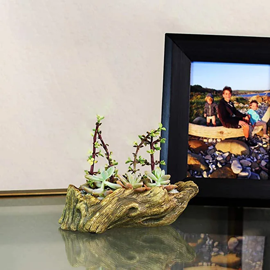 Maceta de Cemento Vintage Aimexn | Diseño Natural para Suculentas y Decoración Moderna 4