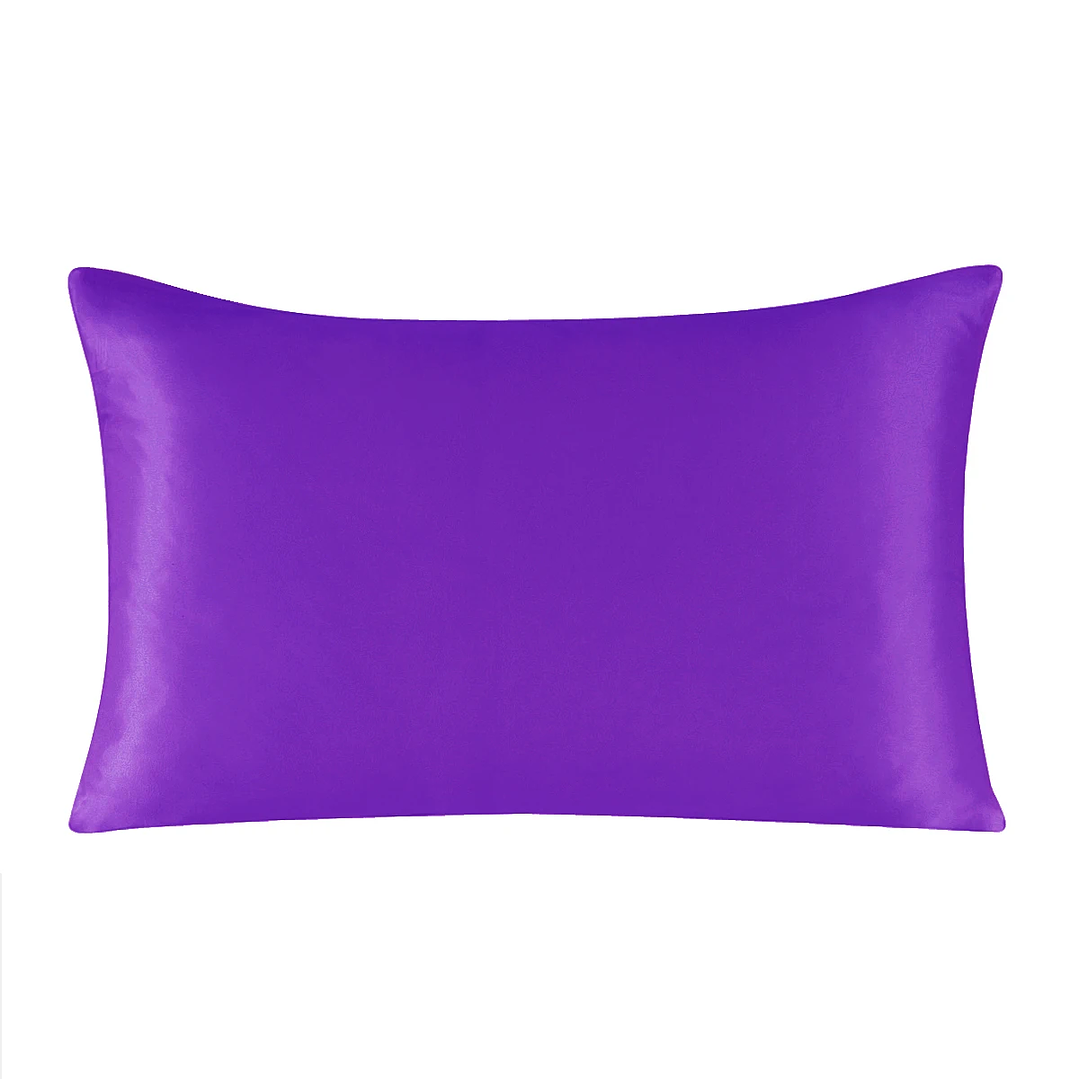 Funda de Almohada Seda de Morera | 100% Natural con Cremallera, Multicolor Queen/King 12