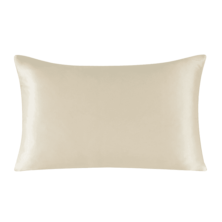 Funda de Almohada Seda de Morera | 100% Natural con Cremallera, Multicolor Queen/King 16